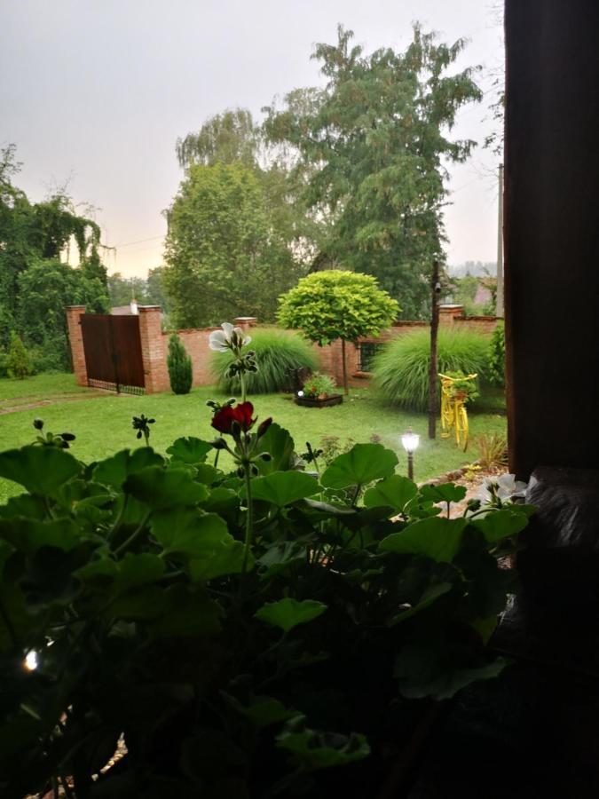 Villa Etno Kuca Todorovic Smederevo Esterno foto