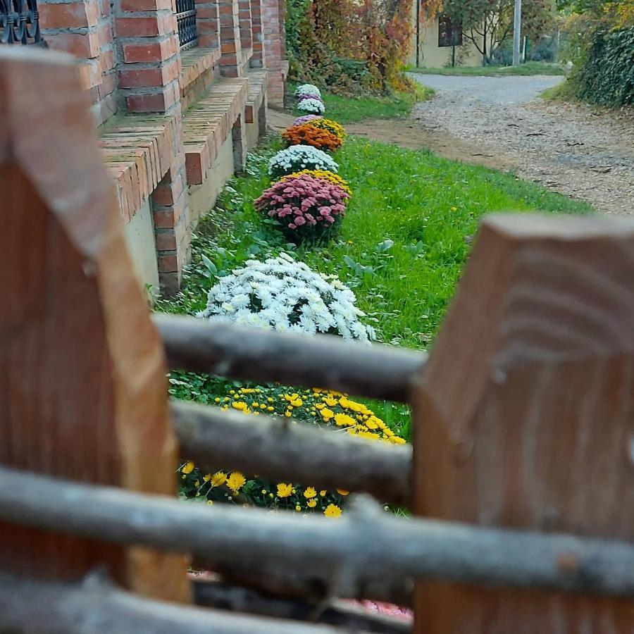 Villa Etno Kuca Todorovic Smederevo Esterno foto
