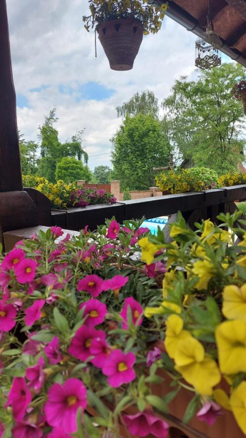 Villa Etno Kuca Todorovic Smederevo Esterno foto